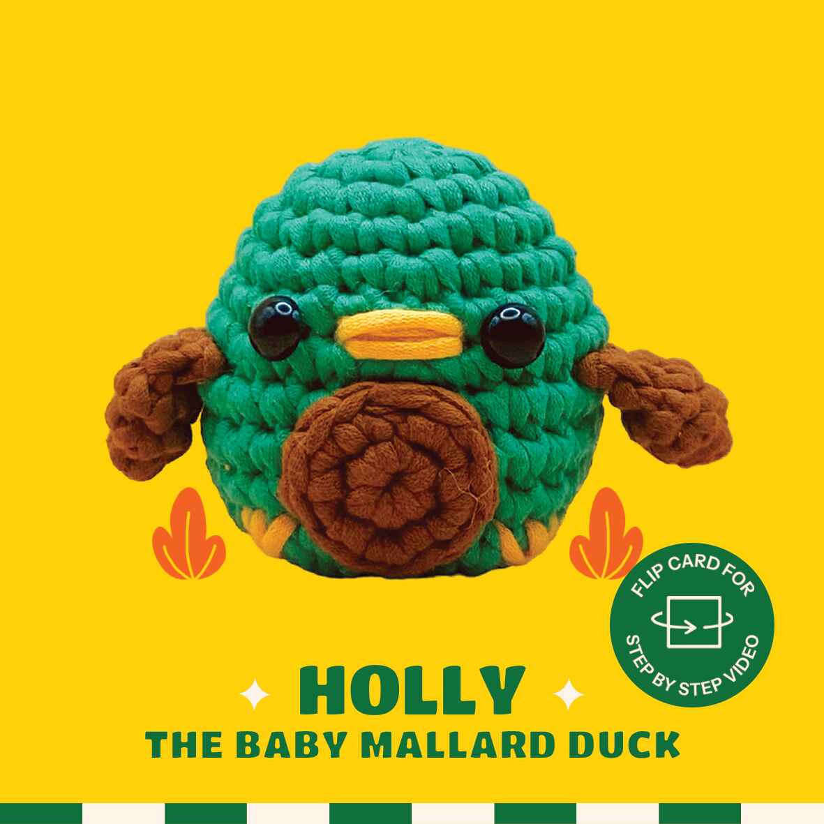 Holly The Baby Duck(Beginner)